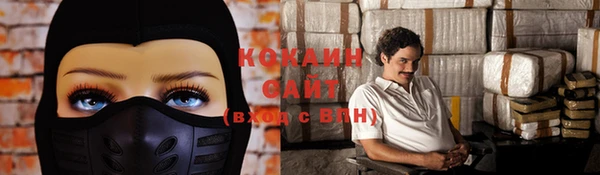 индика Балахна