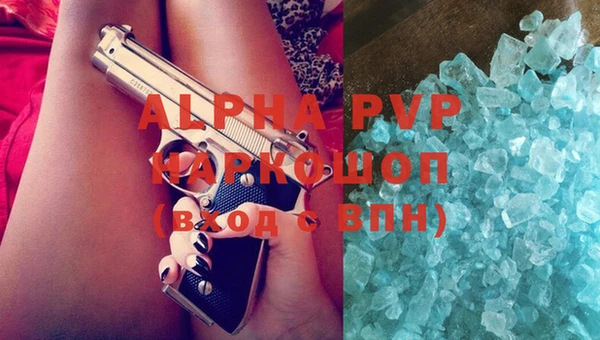 индика Балахна