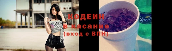 индика Балахна
