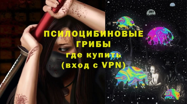 индика Балахна