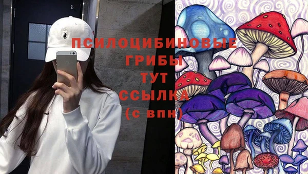 не бодяженный Белокуриха