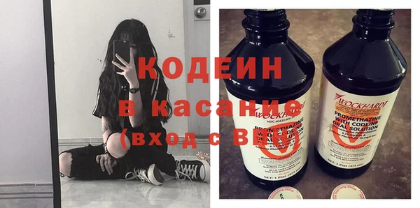 индика Балахна